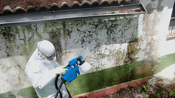 Top rated local Mold Inspection specialists in Bainbridge, PA